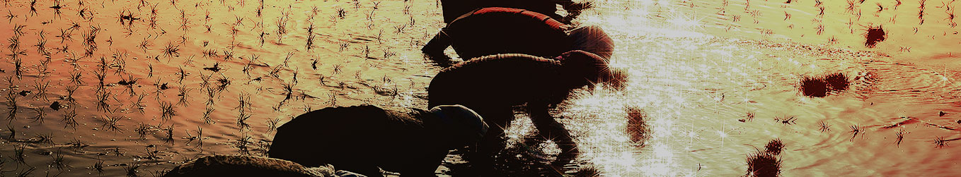 品種齊全、價格合理